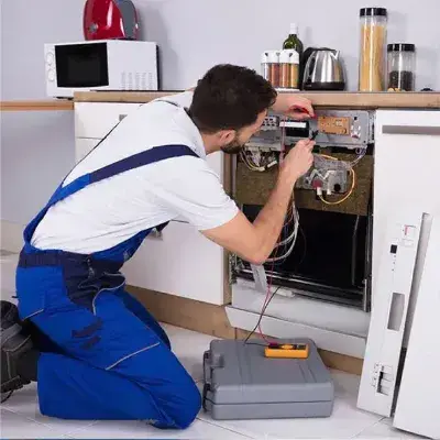 Servicio Técnico 1